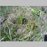 hike around the Seven Lakes area