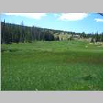 hike around the Seven Lakes area