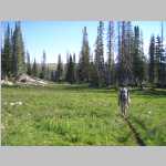 Brian on the trail