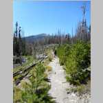 Hiking through the burn area along the large Big Creek lake