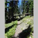 One of many log crossings along the trail on Day 2
