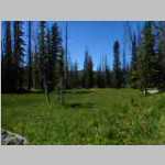 Meadows up top near Seven Lakes