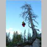 Food hanging in Camp 2