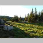 Afternoon light in Camp 2