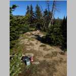 Our camp 2 cooking area and the dead trees where our water was stored