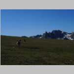 Another shot of the boyz along the Divide with Big Agness 
