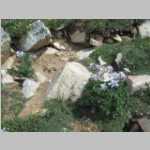 Columbine