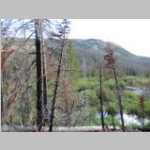 Pano Beaver pond redux