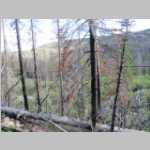 Pano Beaver pond redux