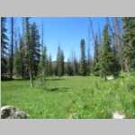 Campsite area