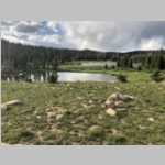 Ponds1