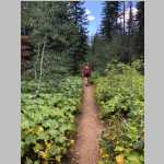 day hike to Mica Lake in the Mount Zirkel Wilderness