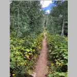 day hike to Mica Lake in the Mount Zirkel Wilderness
