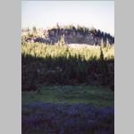 Sunshine Meadows, our campsite was on the cliff
