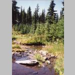 Stream in Three Sisters Wilderness