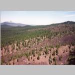 Lava field from Obsidian Cliff, Mts Washington and Jefferson