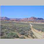 Cryptogamic soil and desert greenery in the Elaterite Basin