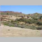 Cryptogamic soil and desert greenery in the Elaterite Basin