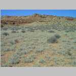 Cryptogamic soil and desert greenery in the Elaterite Basin