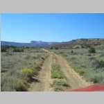 Cryptogamic soil and desert greenery in the Elaterite Basin