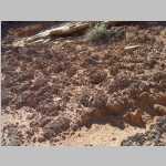 In Big Water Canyon (still Elaterite Basin)
