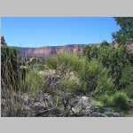 The climb out from Big Water Canyon, Bagpipe Butte in background