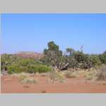 Cleopatra's Chair Campground