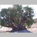 Cleopatra's Chair Campground