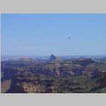 From Millard Canyon Overlook, including a Golden Eagle.