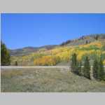 Aspens on the way home to Laramie