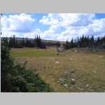 more views of the dry pond near camp