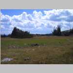 more views of the dry pond near camp