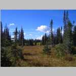 the area south of SW North Twin Lakes