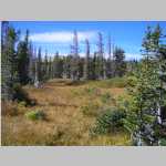 the area south of SW North Twin Lakes