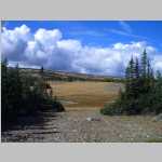 looking W from the north side of North Twin Lakes