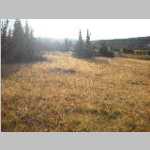 1 of 3 for pano of South Fork Rock Creek drainage and Rock Creek Knoll