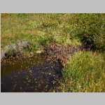 our crossing point for the South Fork of Rock Creek - good thing there was a 