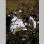 Quartz rocks - a ton of quartz in this area