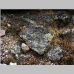 Square rock near place where we washed dishes