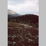 Northeast from base camp Bridger (10150 ft)