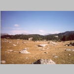 Looking north from just south of Bob's Lake (9865 ft). Medina Mtn (?, 11541 ft), Europa Peak (12254 ft), Hall’s Mtn (12475 ft)