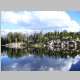 Reflections 1