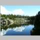 Reflections 4