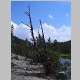 Mary's Lake to Pole Creek Lakes basecamp