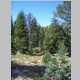 hiking from Camp Washakie to East Fork River crossing