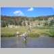 hiking from Camp Washakie to East Fork River crossing
