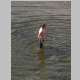 Taking a dip in Washakie Creek