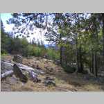 hiking the Pinto Park Trail