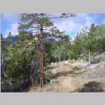 hiking the Pinto Park Trail