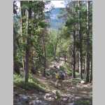 hiking the Pinto Park Trail